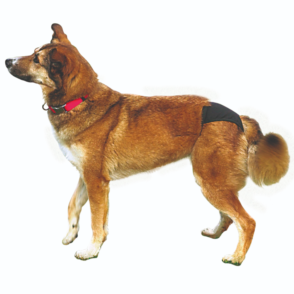 Trixie Washable Protective Pants for Dogs image 8