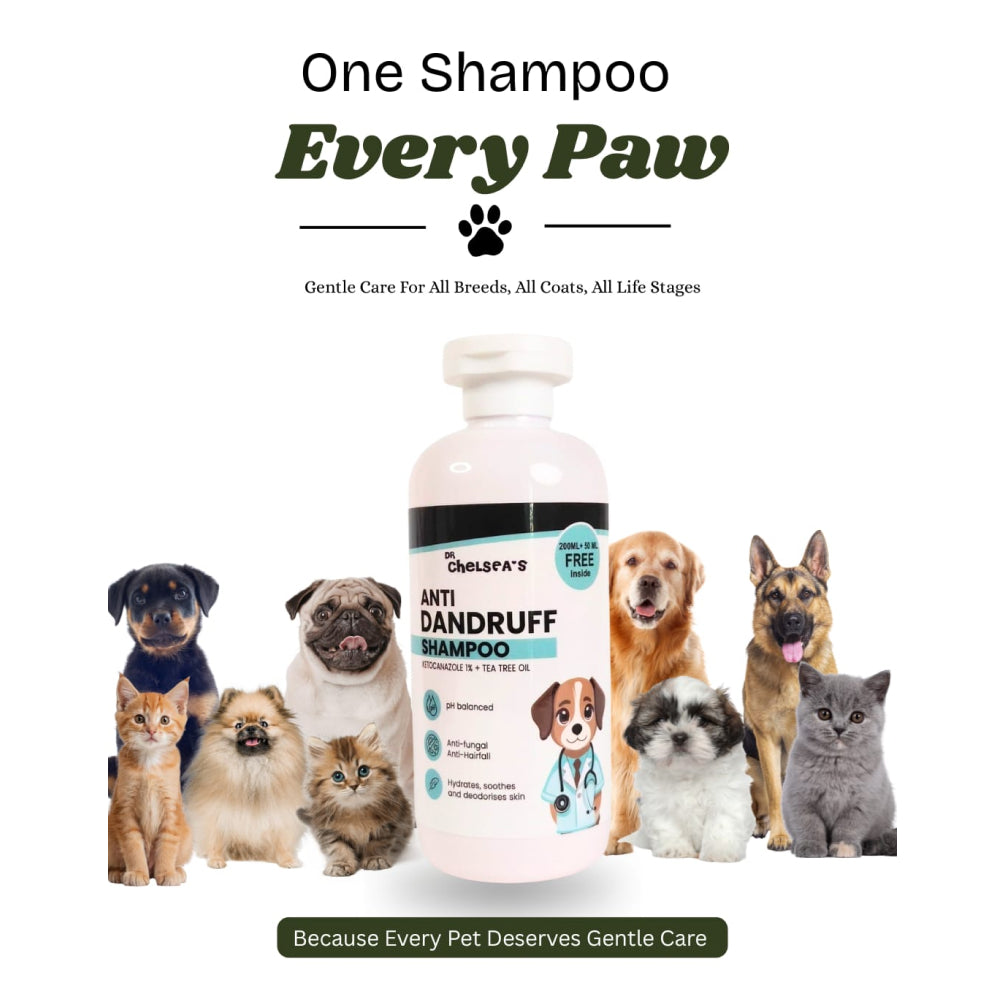 Dr. Chelsea’s Anti Dandruff Shampoo for Dogs & Cats image 3