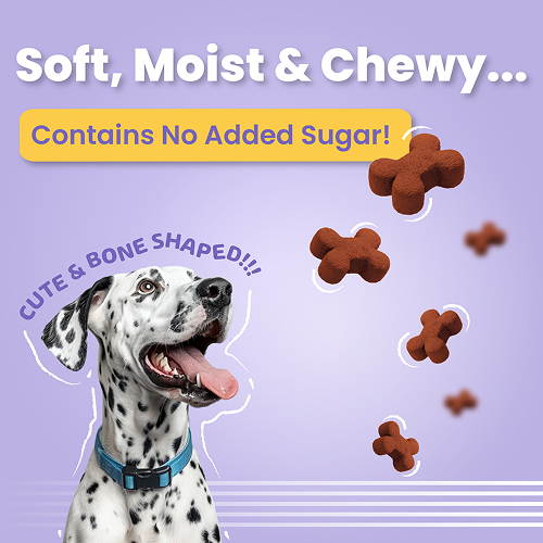 Bark Out Loud Coatiez Soft Chews Dog Treats image 3