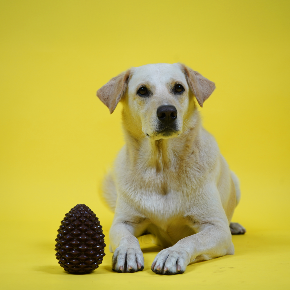 Skatrs Pinecone Treat Dispenser for Dogs (Brown) image 4