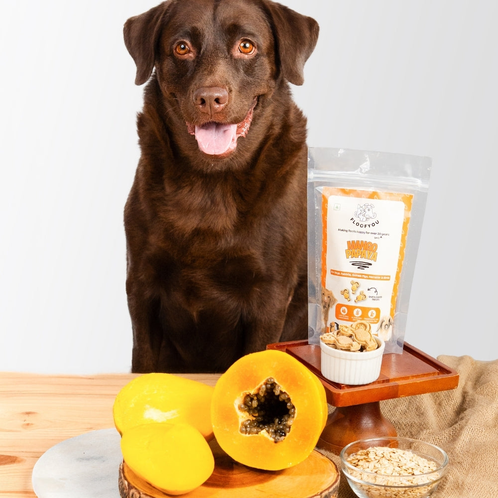 Floofyou Mango Papaya Vegan Oven Baked Cookie Dog Treats image 2