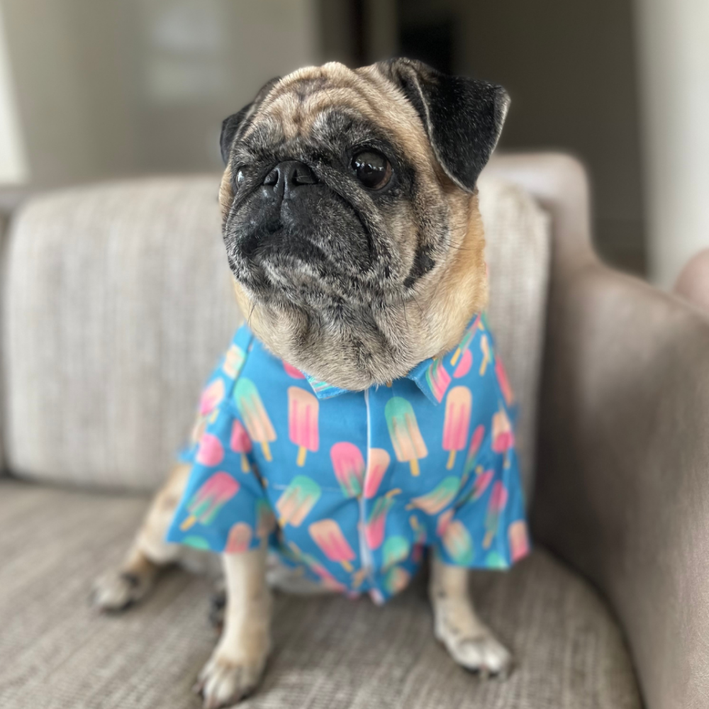15buttons Ice Candy Shirt for Dogs image 2