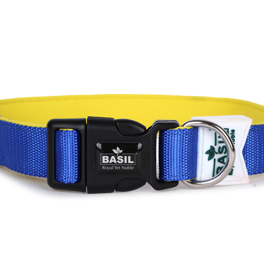 Basil Nylon Padded Collar for Dogs (Blue) image 6
