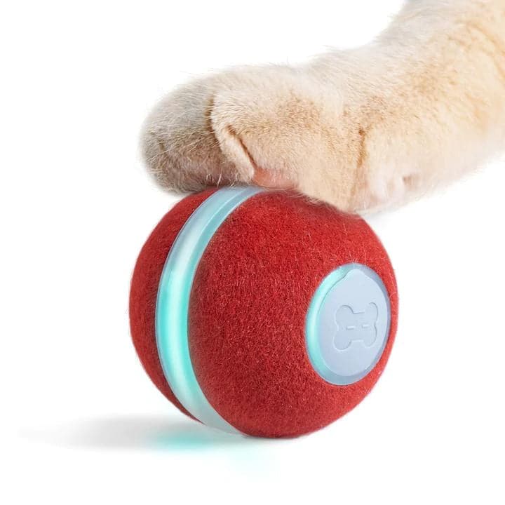 Cheerble Electronic Ball Toy for Cats (Red) image 8
