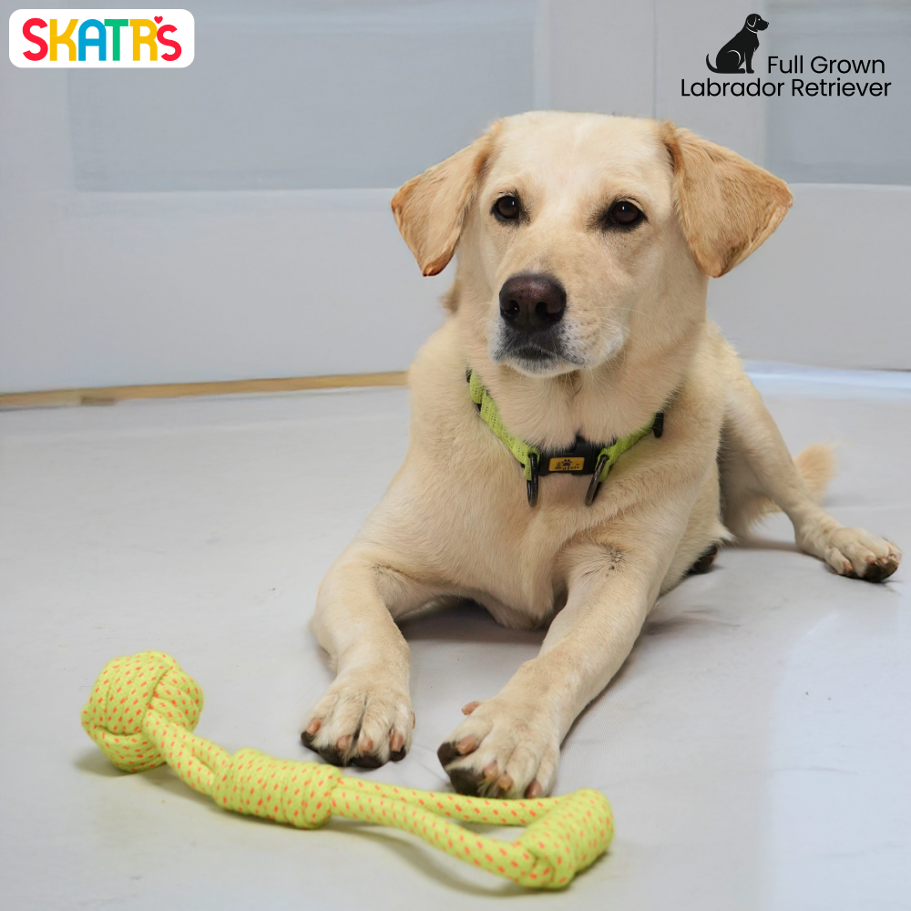 Skatrs Hand Made Knotted Ball Rope Tug Toy for Dogs and Cats (Neon Green) image 4