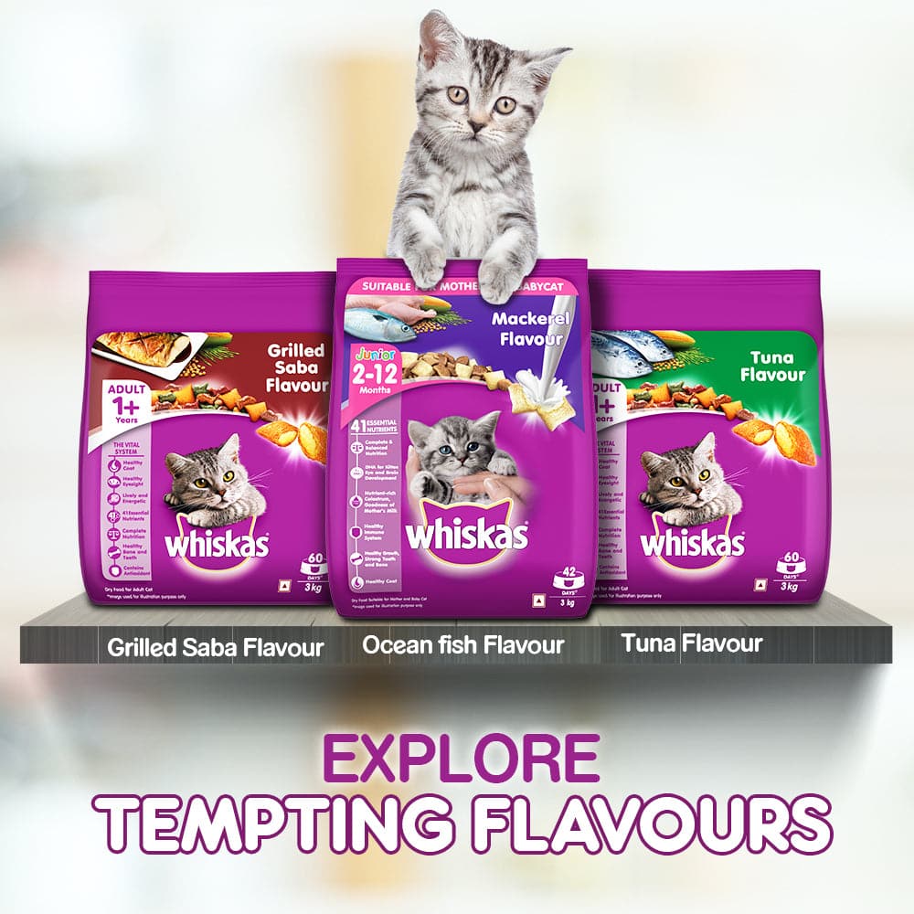 Whiskas Chicken Gravy Adult Cat Wet Food and Tuna Flavour Adult Cat Dry Food Combo image 10