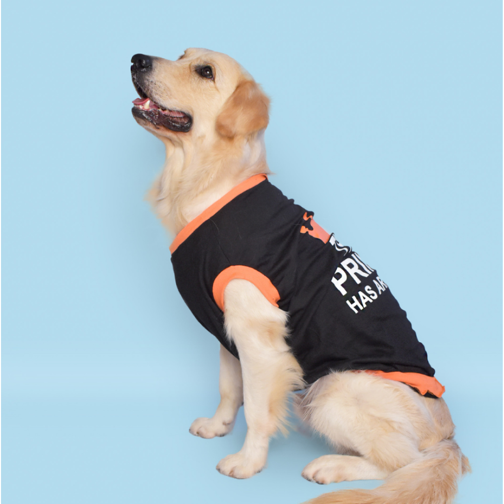 Pet Set Go Prince has Arrived T-shirt for Dogs (Black) image 3