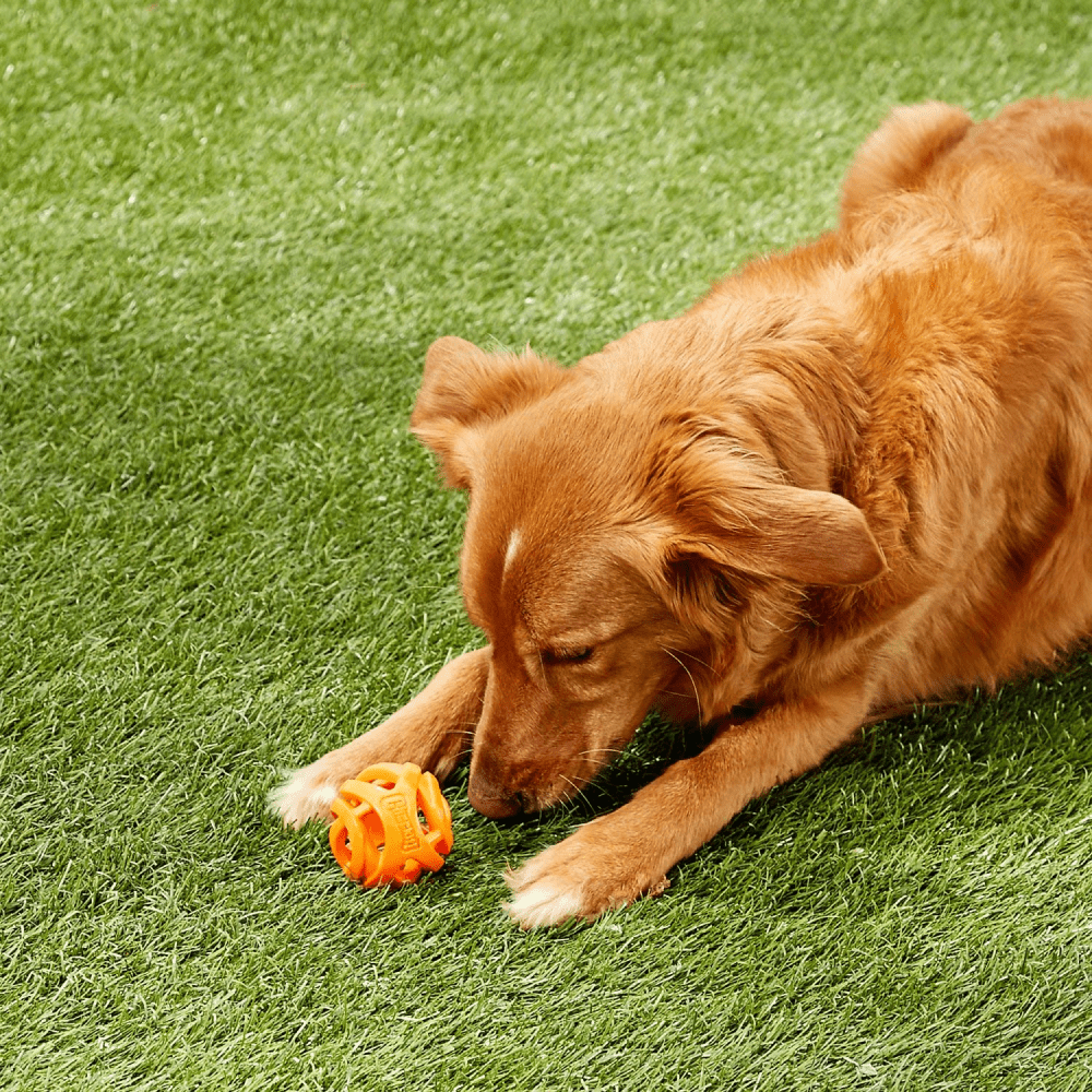 Chuckit! Breath Right Fetch Toy for Dogs | For Medium Chewers image 6