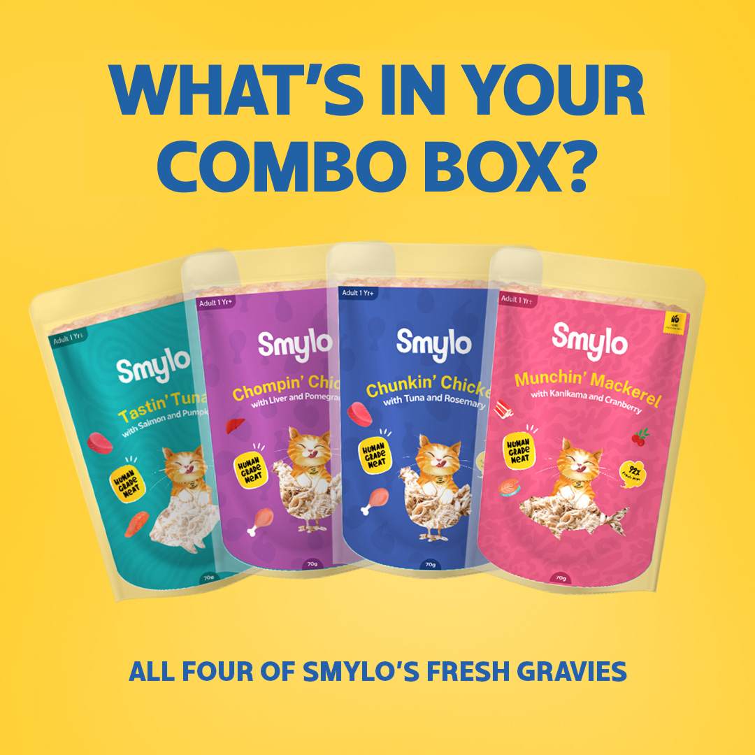 Smylo Adult Variety Combo, Tuna, Chicken & Mackerel, Fresh & No-Preservative Wet Cat Food image 10