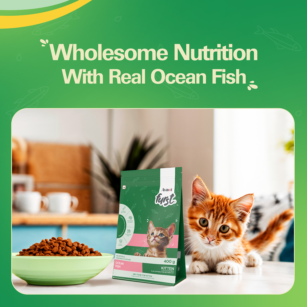 Avant Furst Ocean Fish Flavour Kitten Cat Dry Food image 3