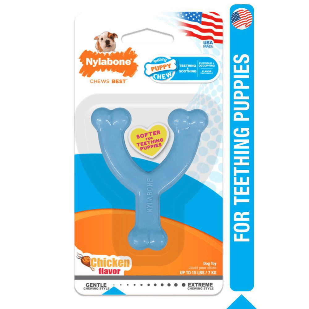 Nylabone Puppy Teething Chicken Flavoured Wish Bone Chew Toy for Dogs (Blue) image 9