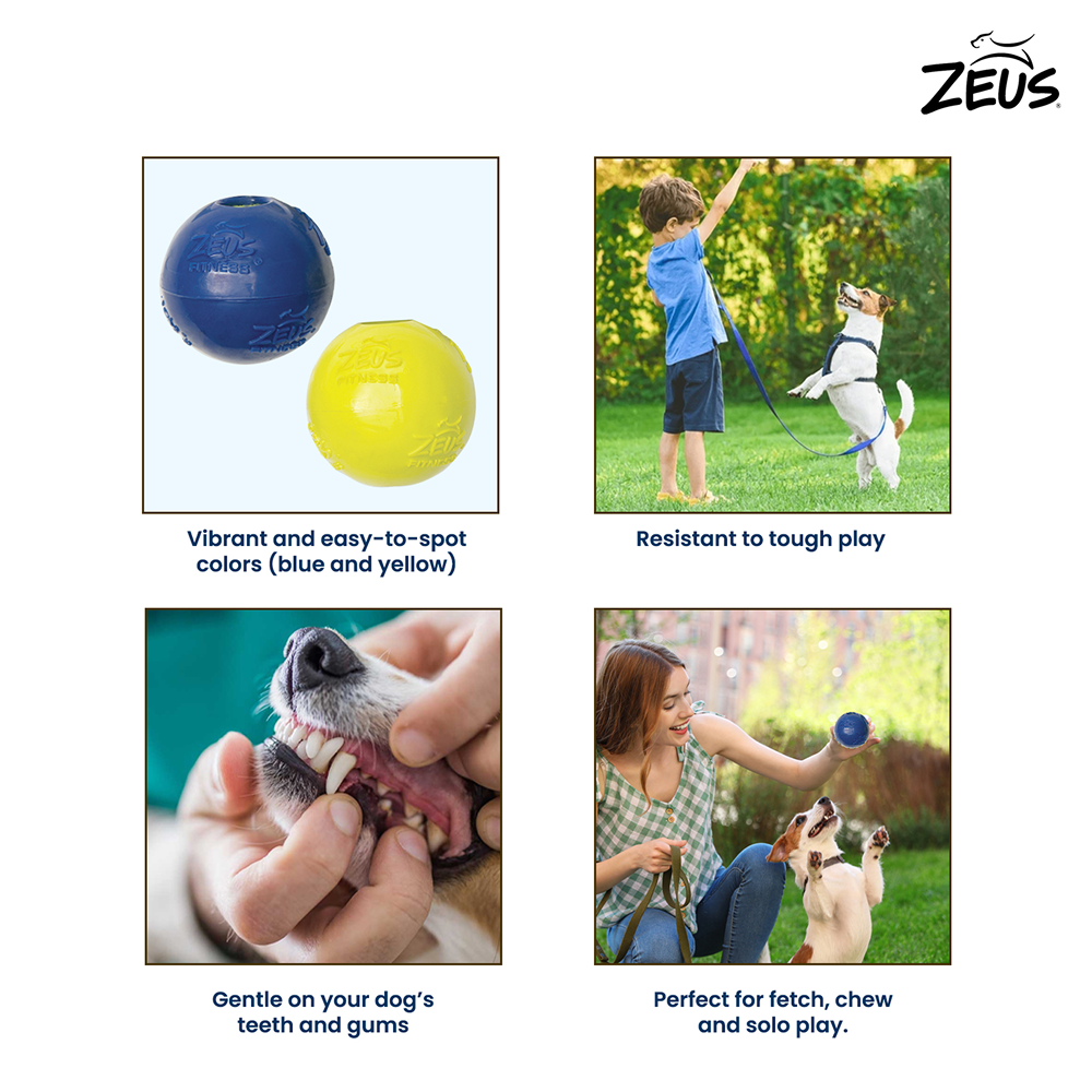 Zeus Tpr Encased Tennis Ball Toy for Dogs (Blue & Yellow) image 3