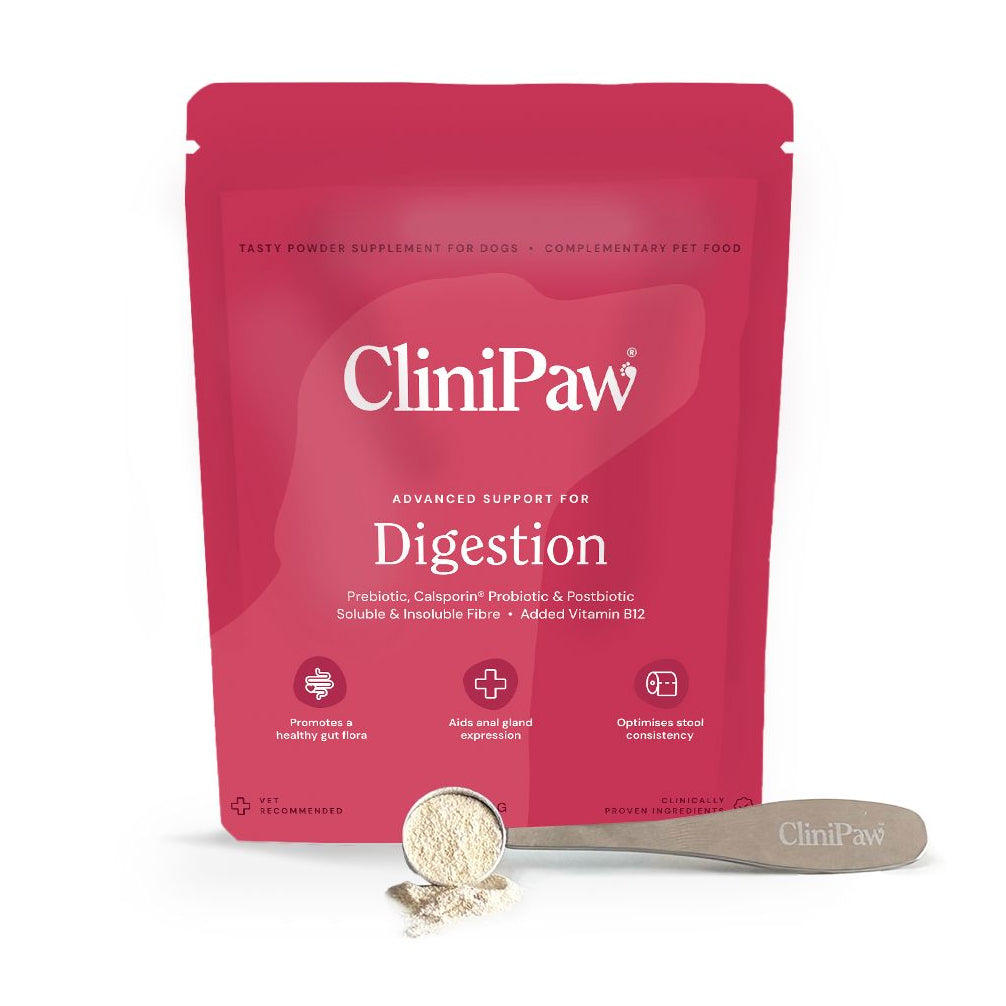 CliniPaw Advanced Support for Digestion Supplement for Dogs (90g)