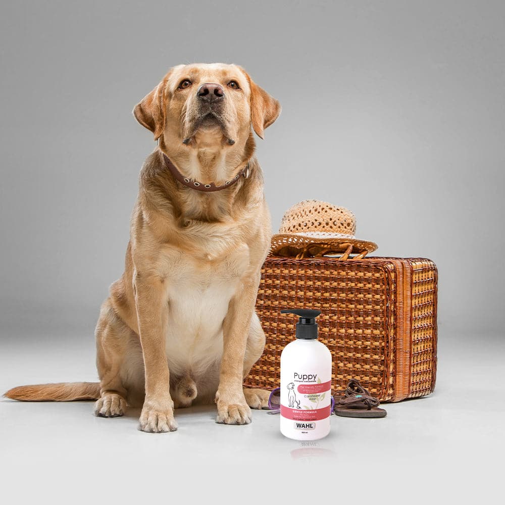 Wahl Shampoo for Puppy (Aloe Cornflower) image 9