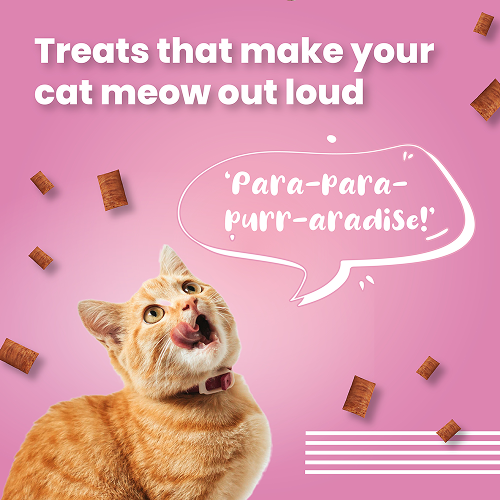 Bark Out Loud by Vivaldis Pillows for Sensitive Gut Cat Treats image 5