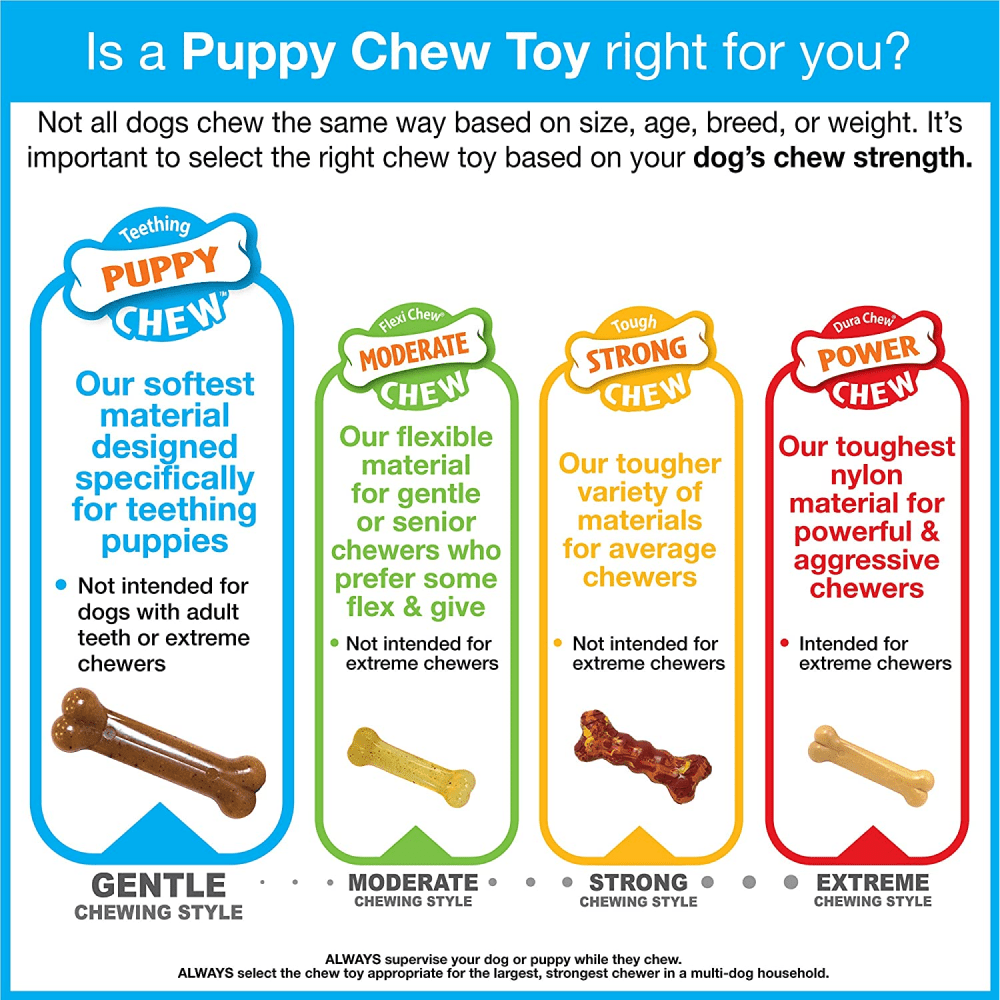 Nylabone Puppy Teething Chicken Flavoured Wish Bone Chew Toy for Dogs (Blue) image 3