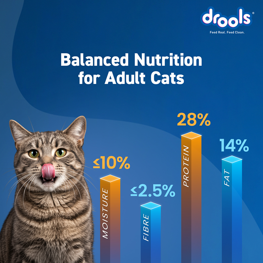 Drools Ocean Fish Adult Cat Dry Food image 5