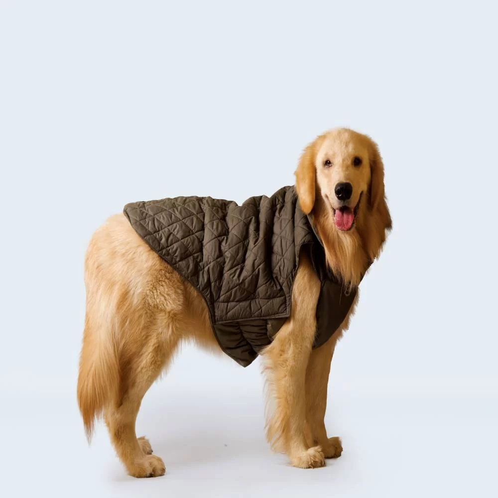 Petsnugs Quilted Jacket for Dogs and Cats (Olive Green) image 3