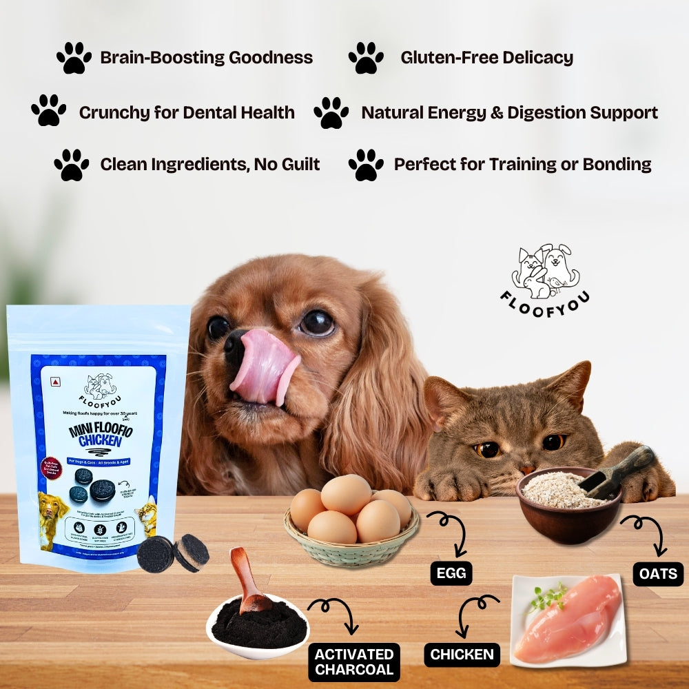 Floofyou Mini Floofio Chicken Oven Baked Cookie Dog Treats image 3