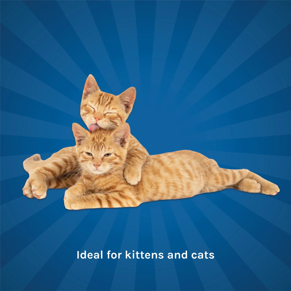 Kennel Kitchen Chicken with Tuna Shreds in Gravy Kitten & Adult Cat Wet Food (All Life Stage) image 7