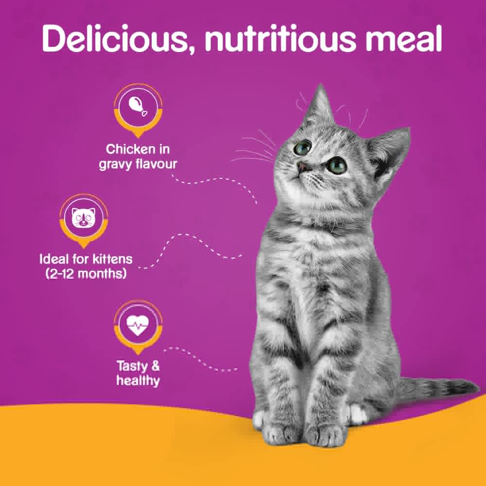 Whiskas Chicken in Gravy Meal Kitten Wet Food and Ocean Fish Kitten Dry Food Combo image 9