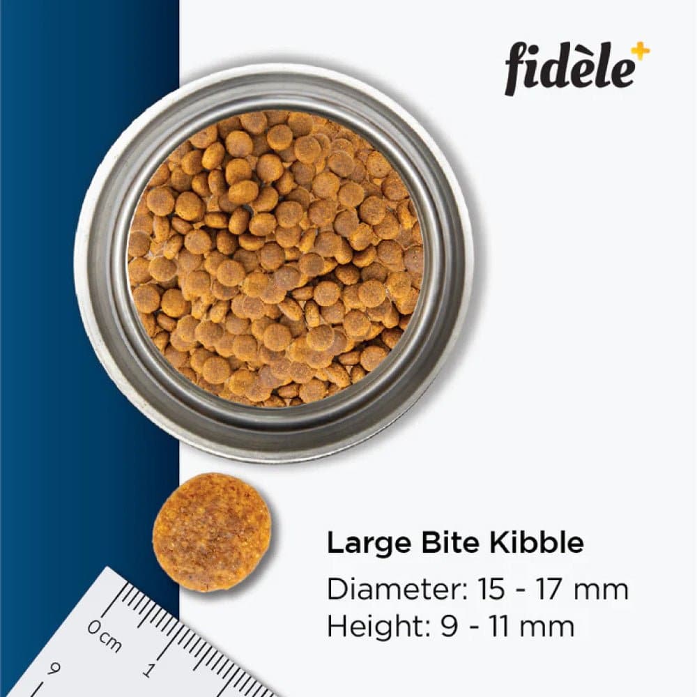 Fidele Plus Adult Large Dog Dry Food image 5