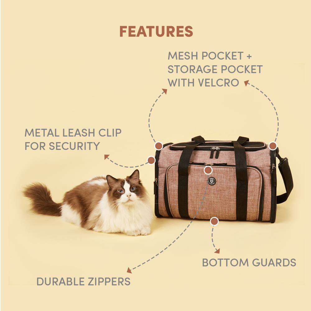 Barkbutler x Fofos Expandable Foldable Carrier for Dogs and Cats (Grey) image 4