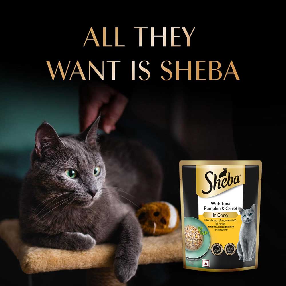 Sheba Tuna Pumpkin & Carrot In Gravy Rich Premium Adult Fine Cat Wet Food image 8