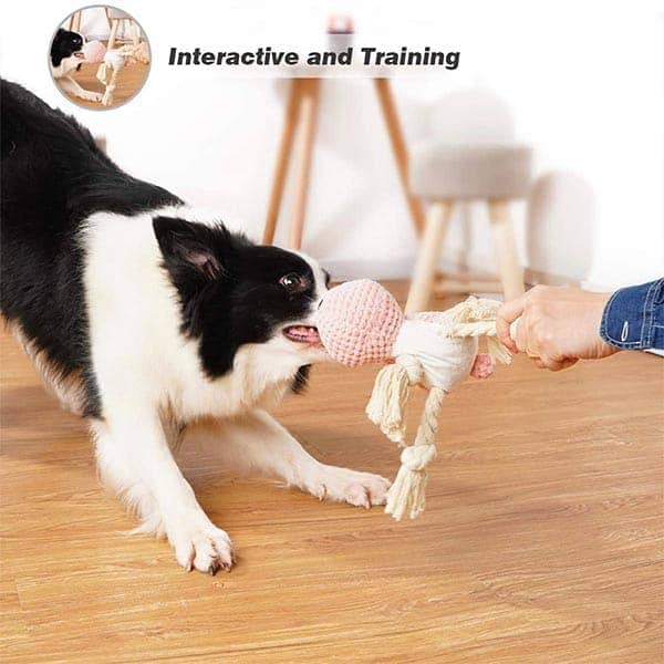 Pawsindia Sleepy Bunny Toy for Dogs image 5