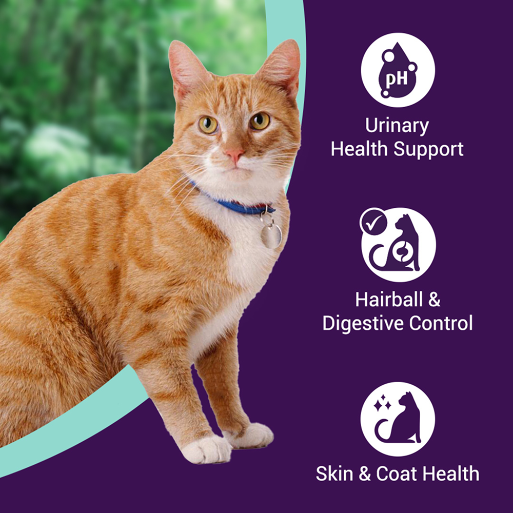 Purrfeto Chicken and Ocean Fish Cat Dry Food image 2