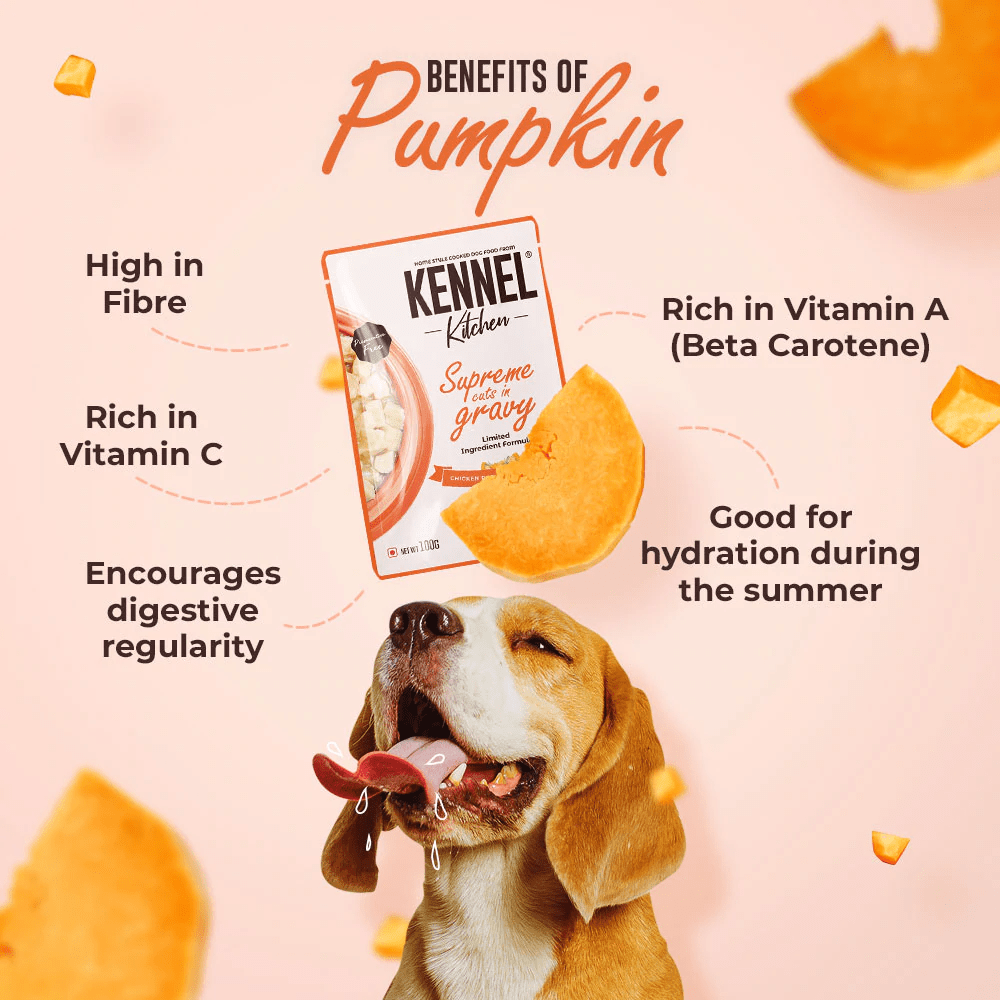 Kennel Kitchen Supreme Cuts in Gravy Lamb with Pumpkin Puppy & Adult Dog Wet Food (All Life Stage) image 7