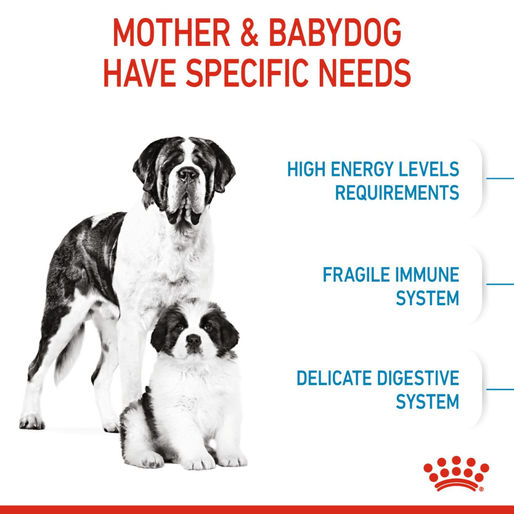 Royal Canin Giant Breed Dog and Puppies Starter Dog Dry Food image 4