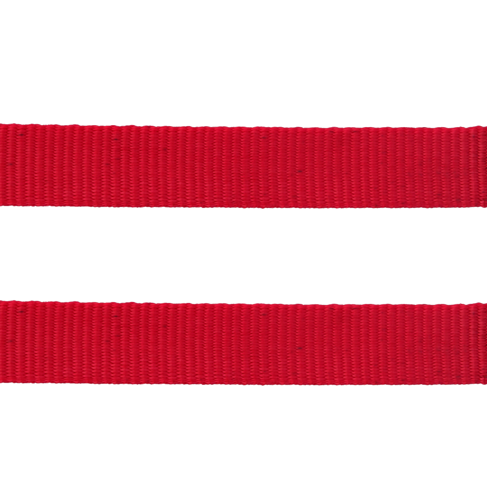 Trixie Classic Lead Leash for Dogs (Red) image 4