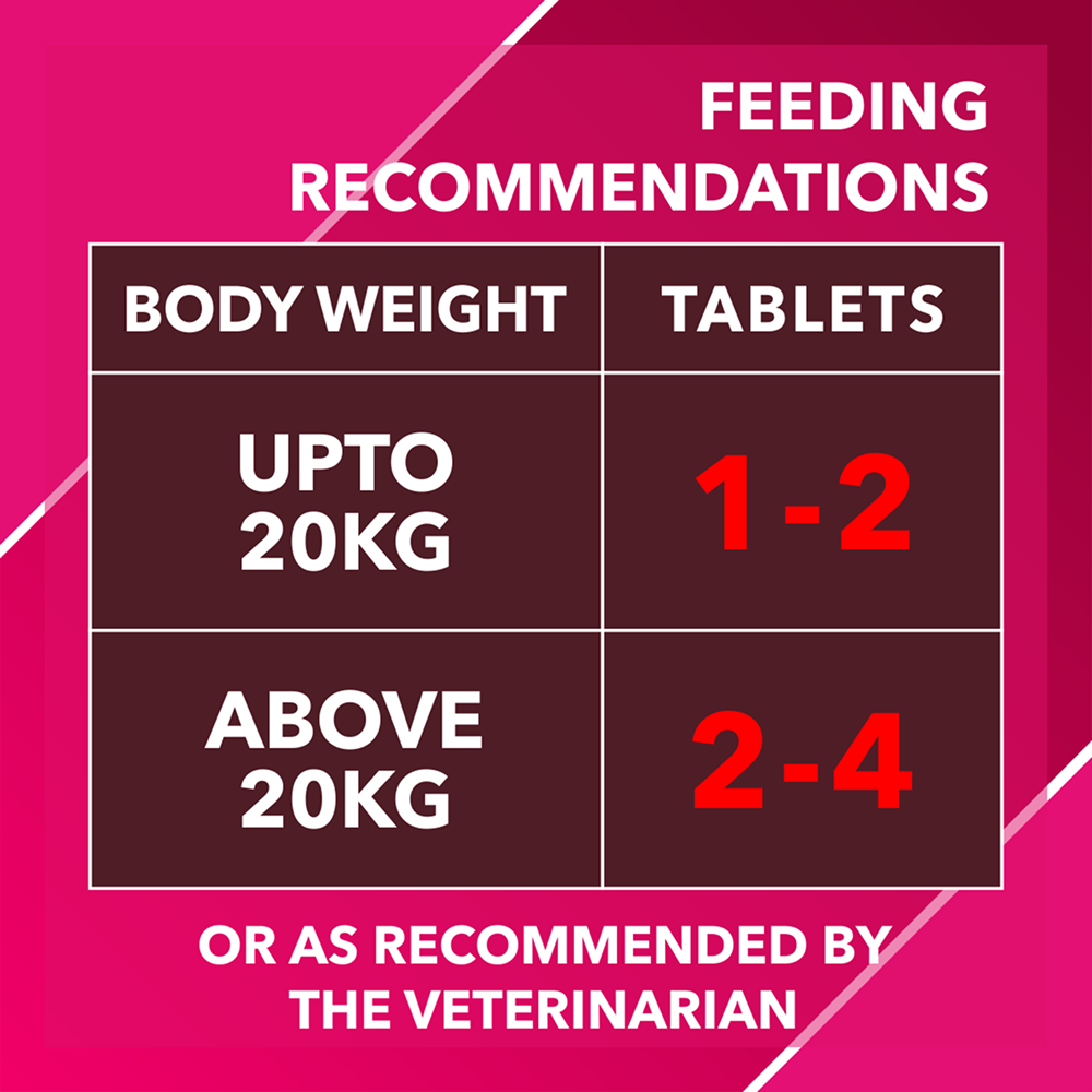 Drools Absolute Skin & Coat Supplement Tablets for Dogs image 6