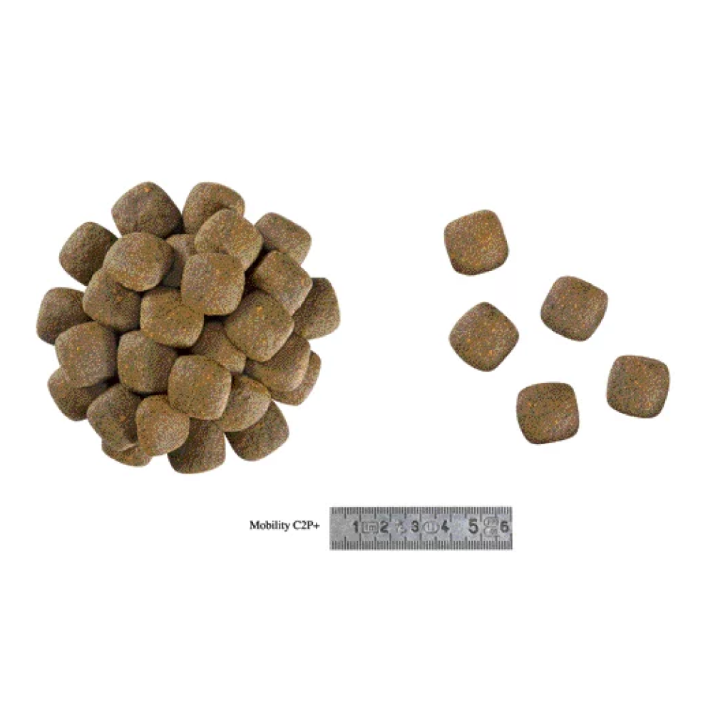 Royal Canin Veterinary Diet Mobility C2P+ Dog Dry Food image 3