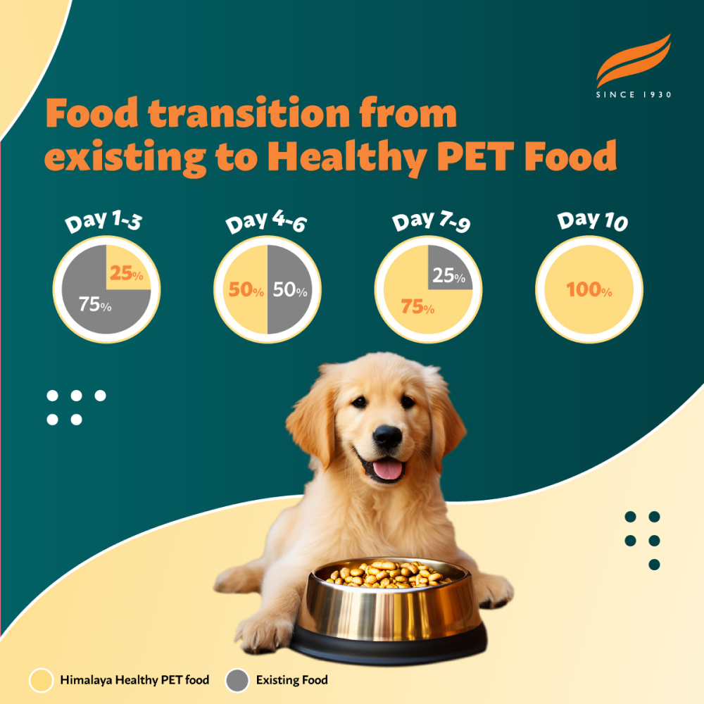 Himalaya Chicken & Rice Healthy Pet Puppy Dog Dry Food image 4