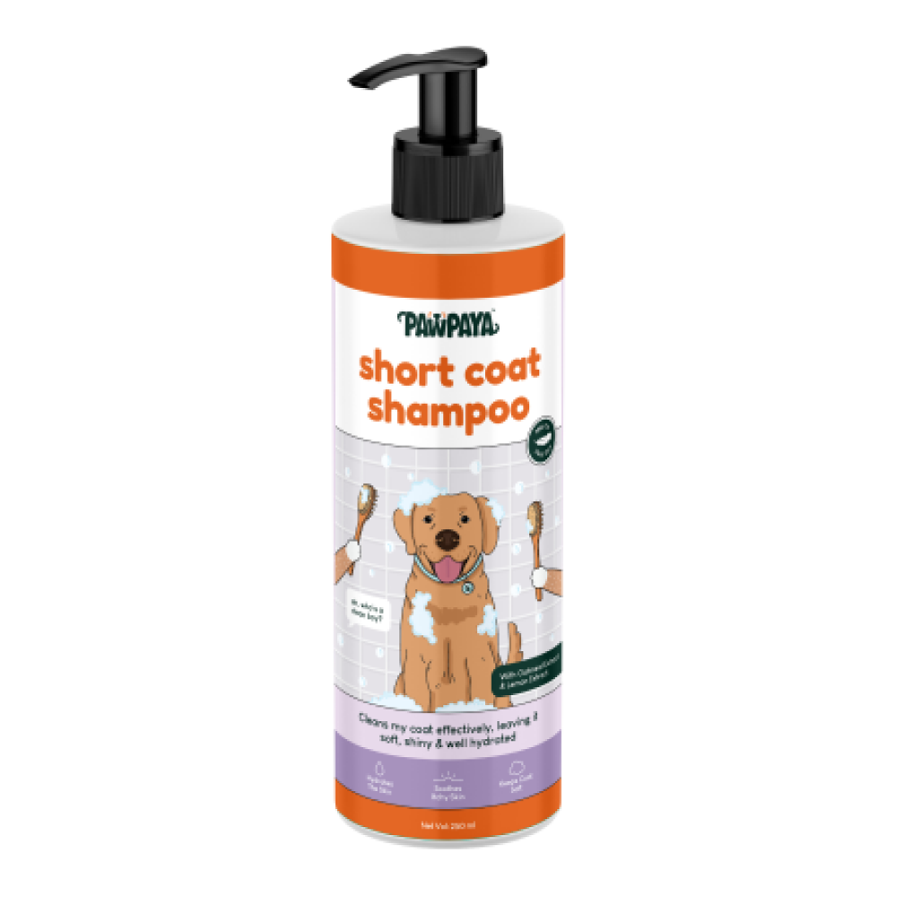 Pawpaya Short Coat Shampoo for Dogs image 6