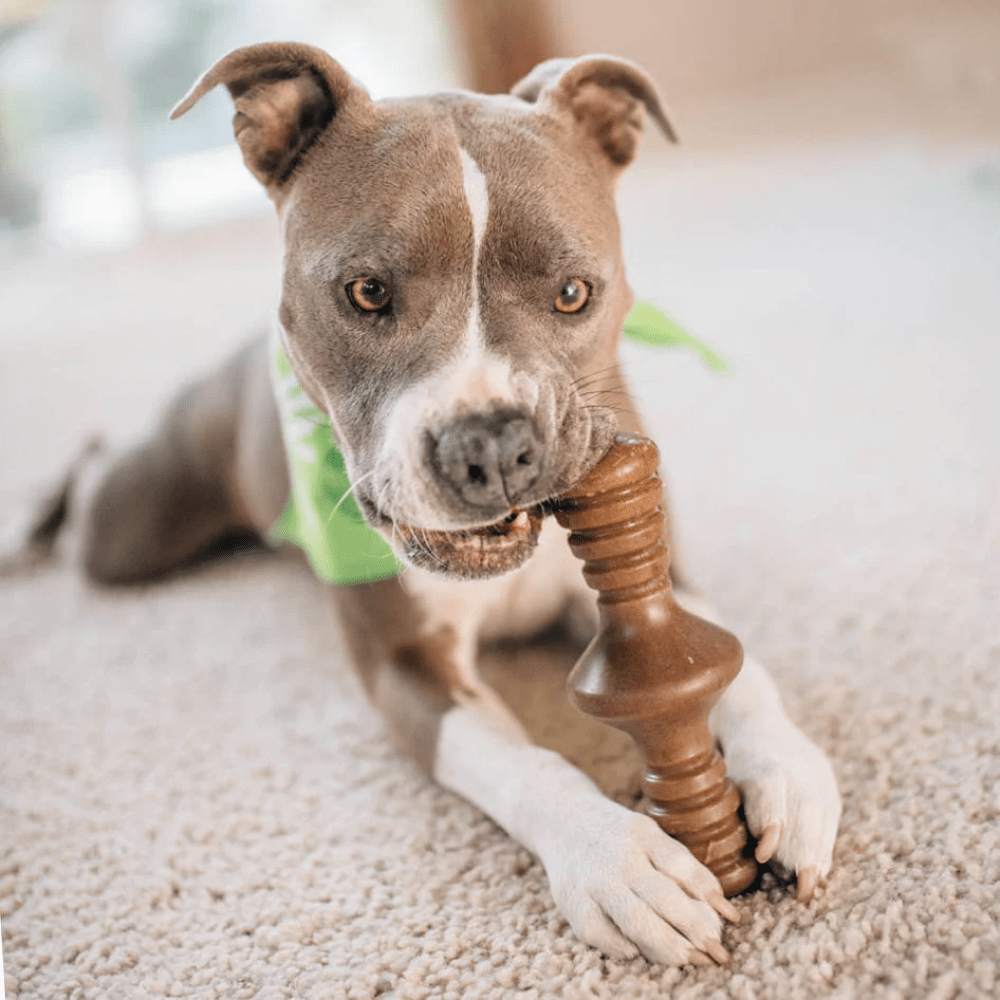 Benebone Bacon Butter Flavored Zaggler Rolling Chew Toy for Dogs image 5