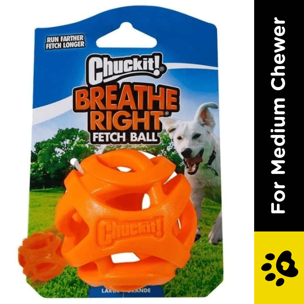 Chuckit! Breath Right Fetch Toy for Dogs | For Medium Chewers image 2