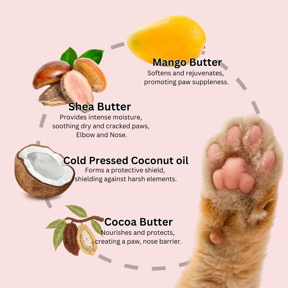 DOGZ & DUDEZ Mango Butter Paw Cream for Dogs and Cats image 2