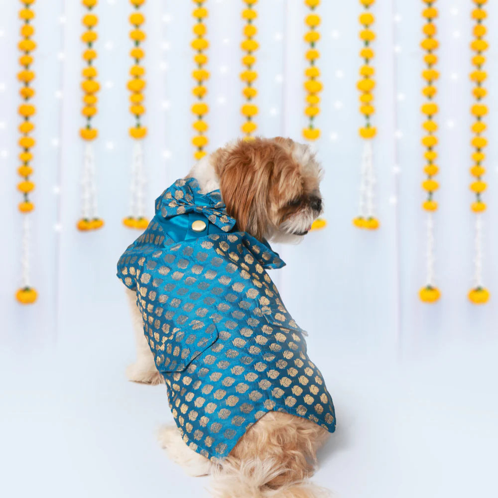 Pet Set Go Kurta with Bowtie  for Dogs (Blue) image 6