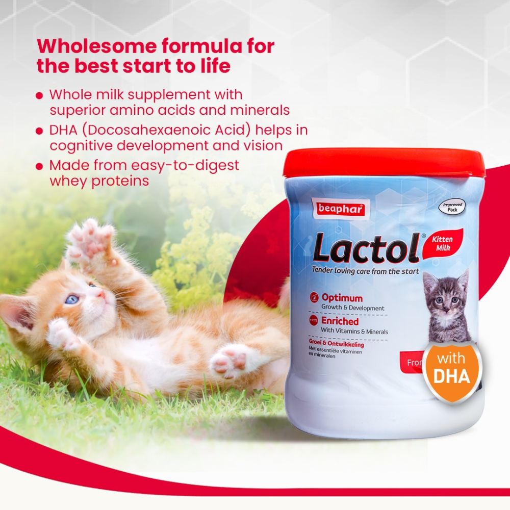 Beaphar Lactol Milk Replacement Powder for Kitten image 5