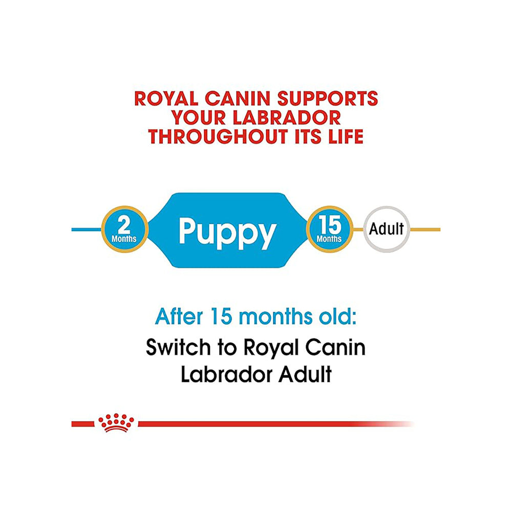 Royal Canin Labrador Retriever Puppy Dog Dry Food image 5