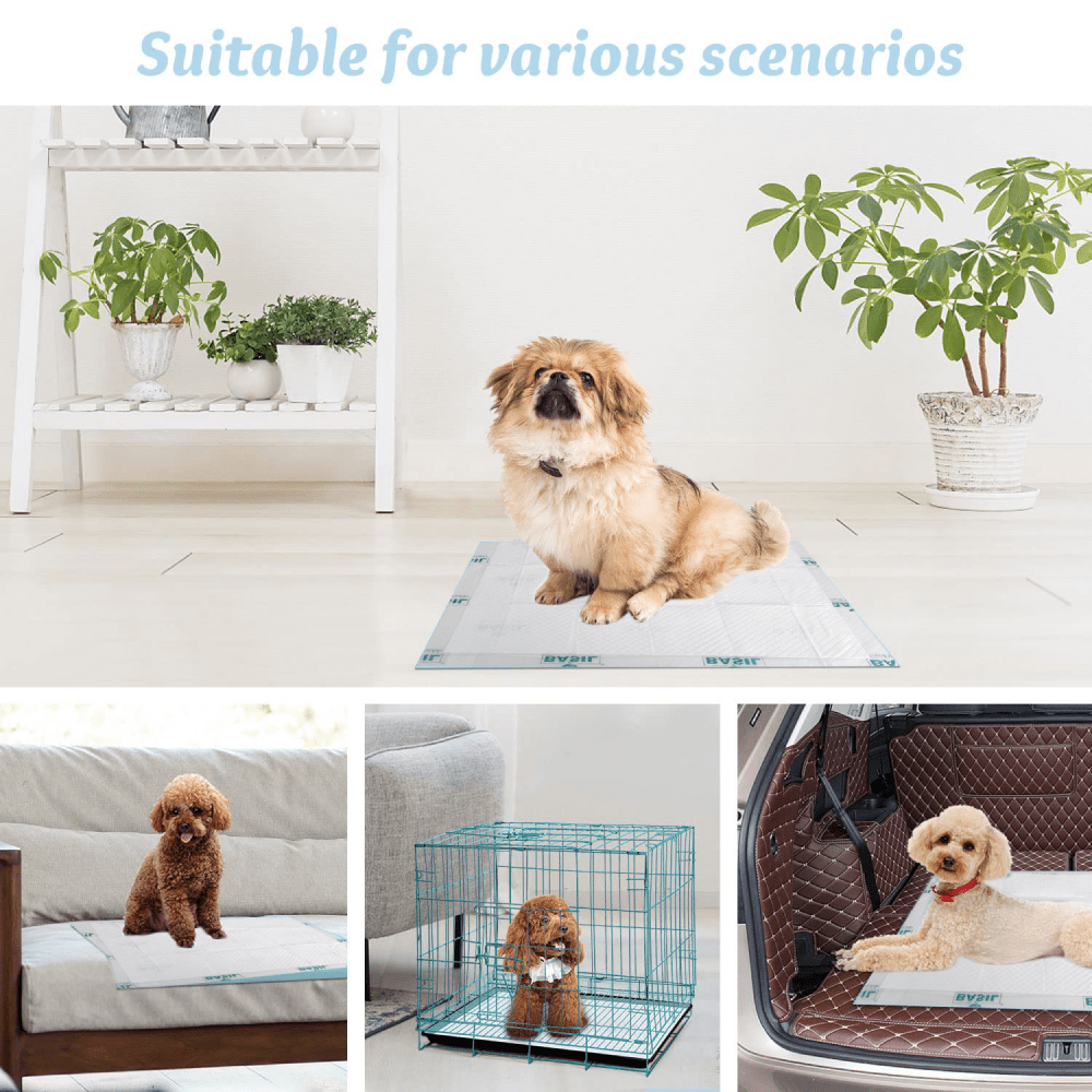 Basil Training Pads for Puppies (60x45cm) image 4