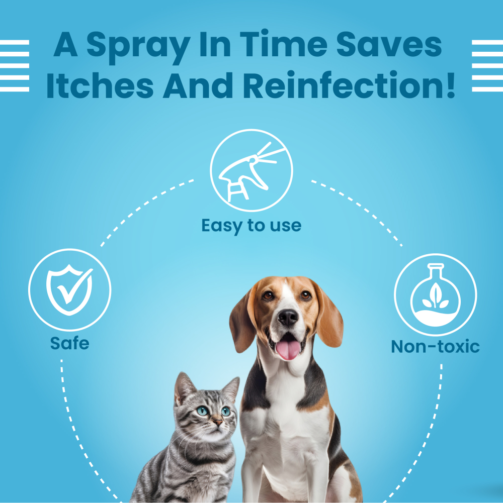 Bark Out Loud Anti Microbial Skin Spray for Dogs and Cats image 5