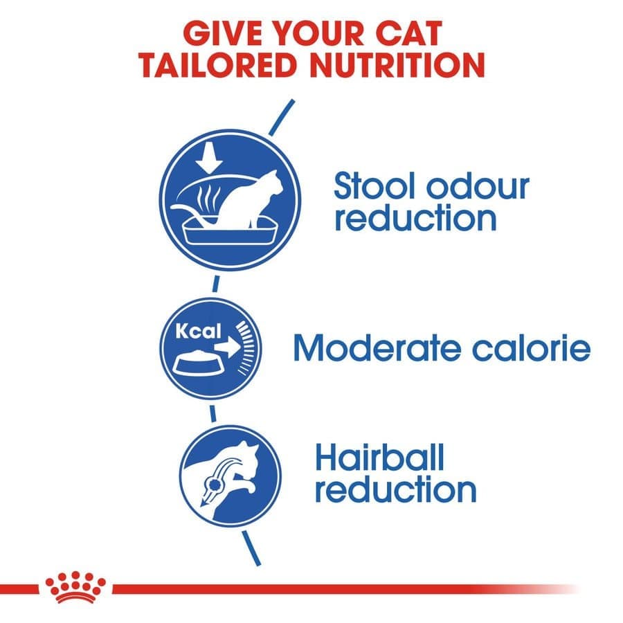 Royal Canin Indoor Adult Cat Dry Food image 4