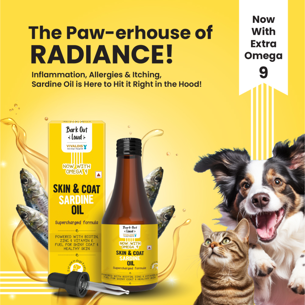 Bark Out Loud Skin & Coat Sardine Oil for Dogs and Cats image 6