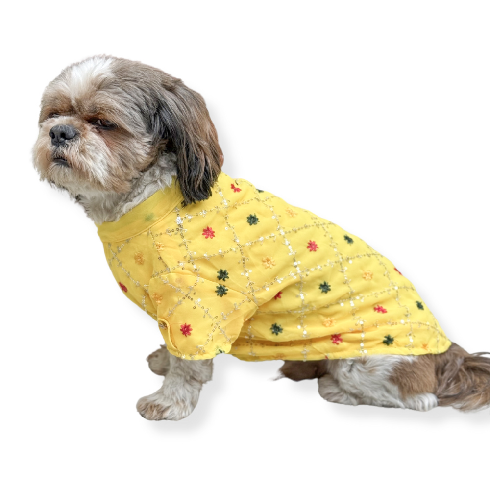 Pawgypets Festive Shirt for Dogs and Cats (Yellow) image 1