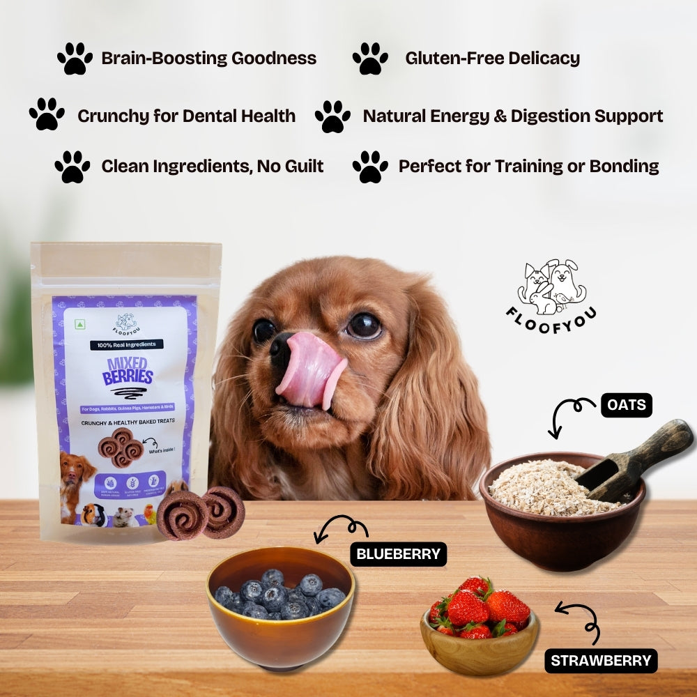 Floofyou Mixed Berries Vegan Oven Baked Cookie Dog Treats image 6
