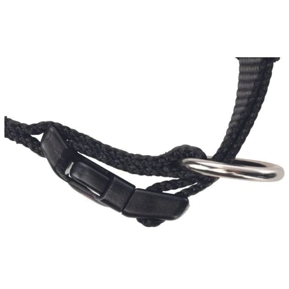 Trixie Classic Collar for Dogs (Black) image 2